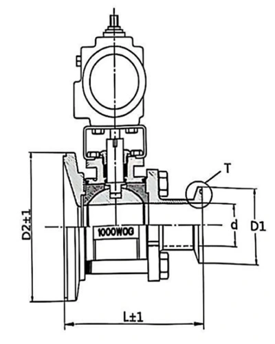 Sanitary Tank Bottom Ball Valve